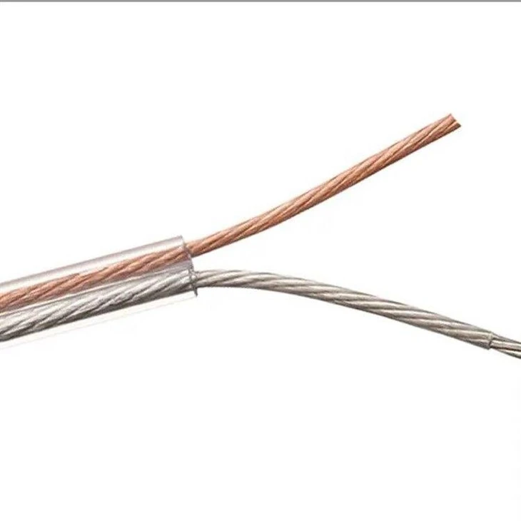 Audio Speaker Cable